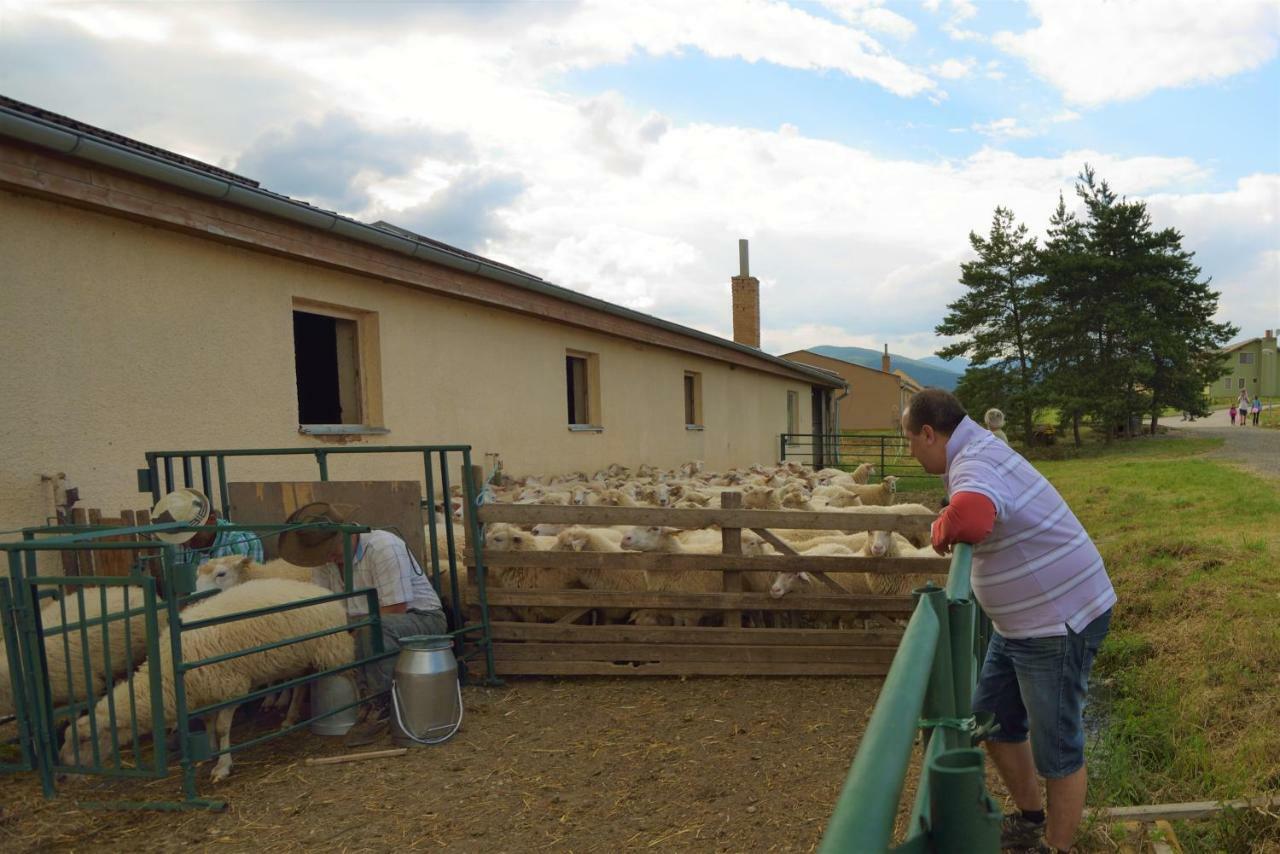 Novacany Bio Farma & Penzion Zlaty Hyl מראה חיצוני תמונה