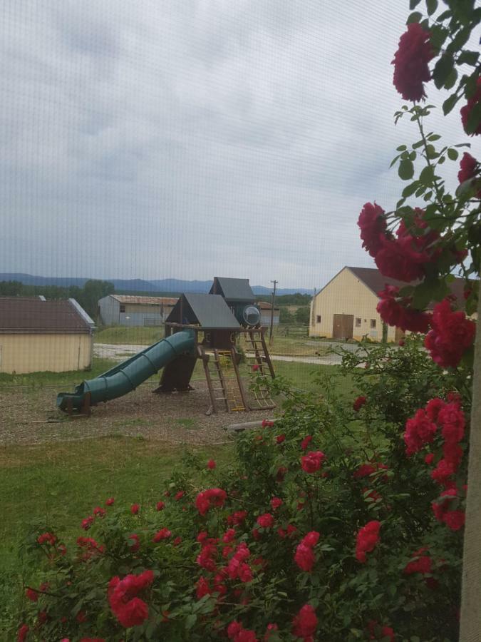 Novacany Bio Farma & Penzion Zlaty Hyl מראה חיצוני תמונה